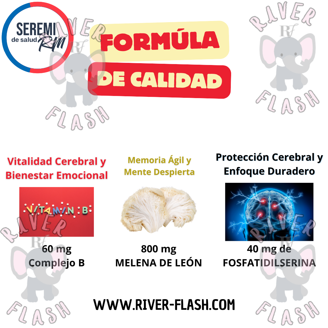 Melena de León Fortificada 1000mg 60 cápsulas